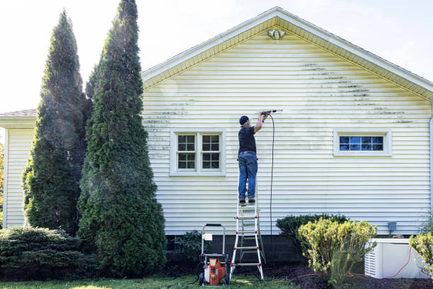 Best Pressure Washing Driveway  in Media, PA