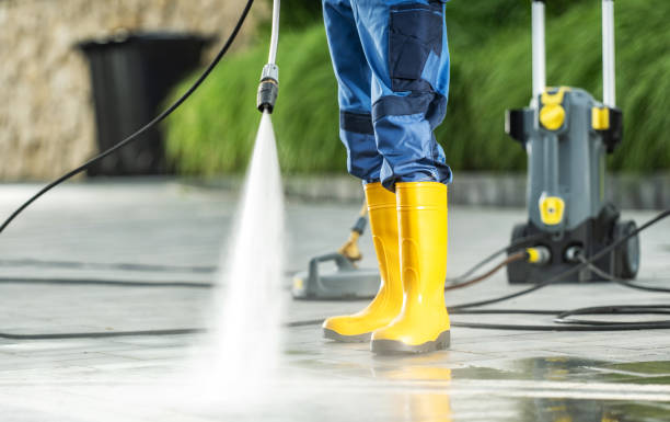 Best Roof Pressure Washing  in Media, PA